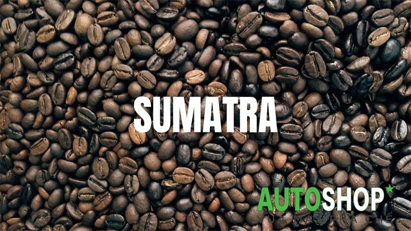 Cà phê Sumatra