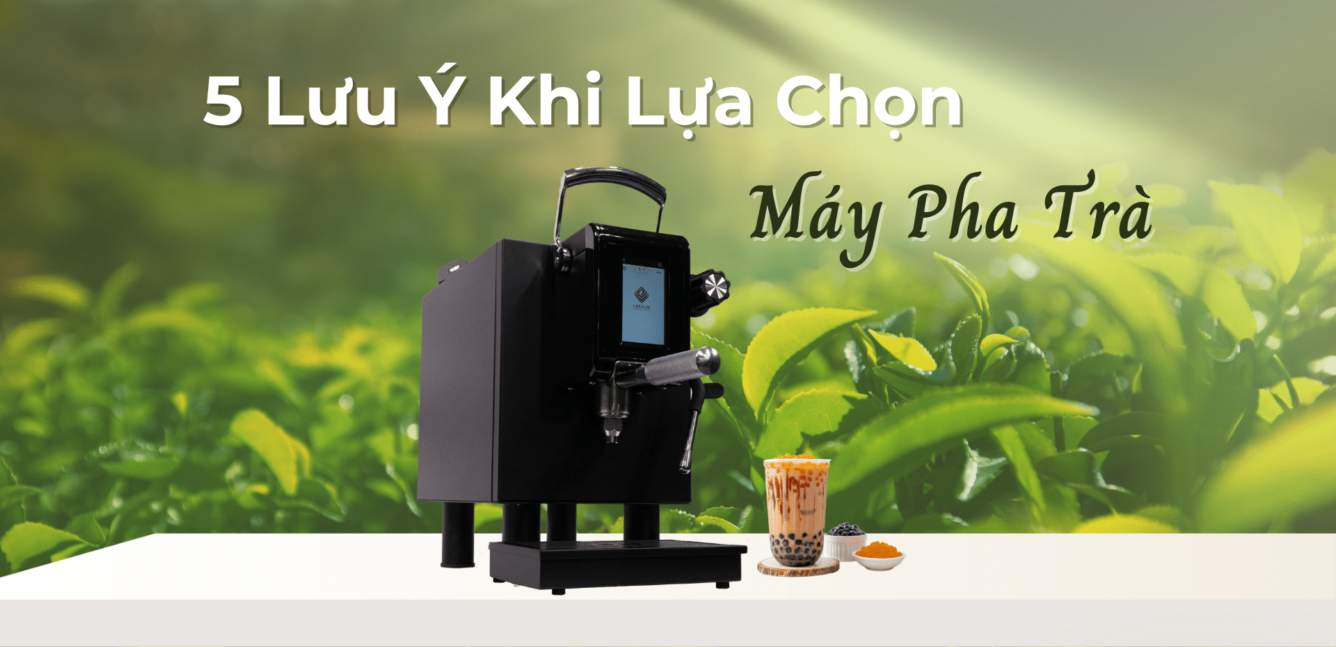 5 Lưu Ý Khi Lựa Chọn Máy Pha Trà