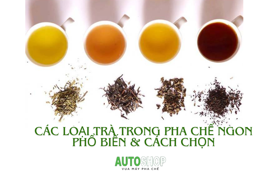 Các loại trà trong pha chế ngon phổ biến & Cách chọn từng loại