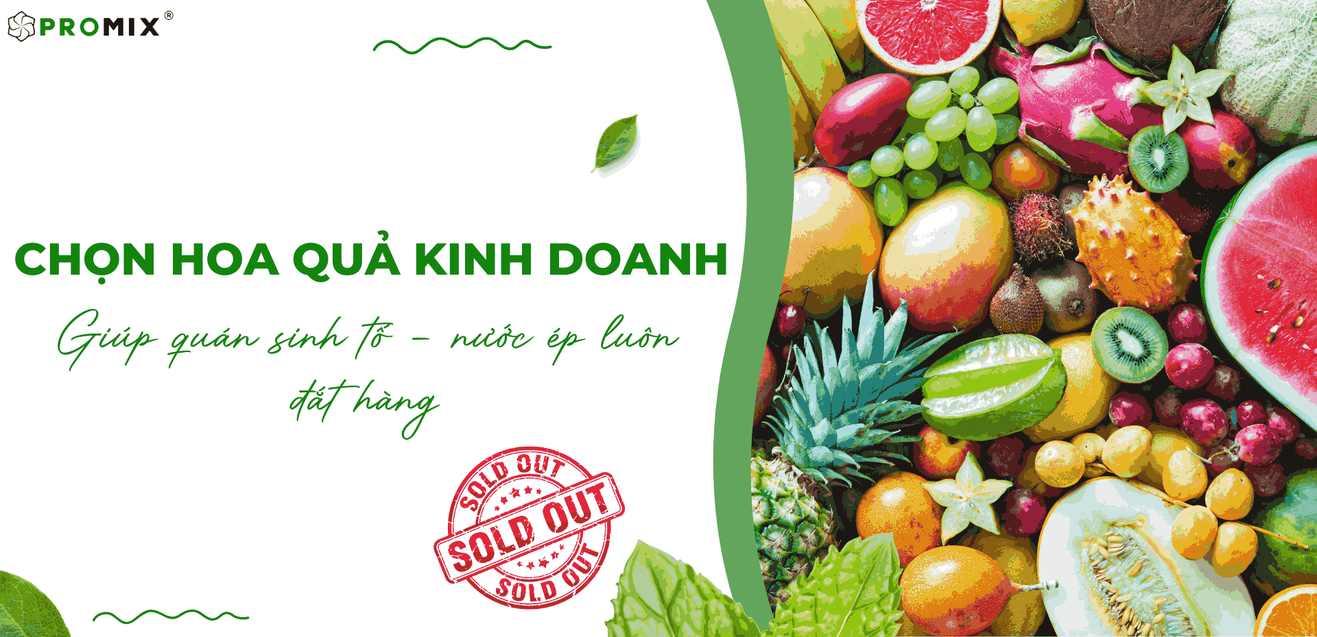 Cách chọn hoa quả kinh doanh nước ép – sinh tố để bán chạy hiệu quả 2025