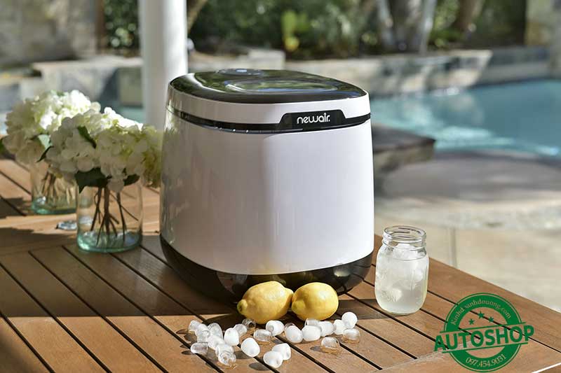 NewAir 50 lb. Portable
